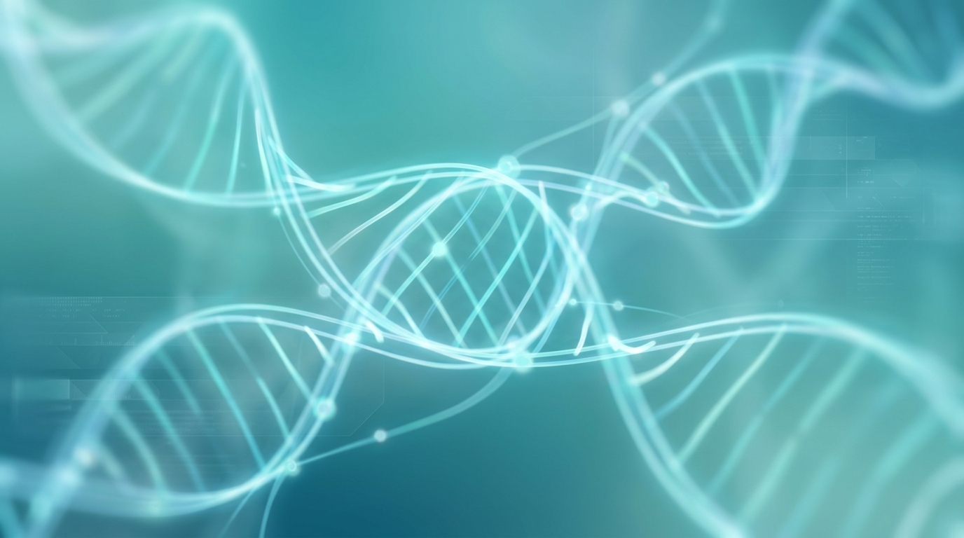 Neural pathways and clinical data analytics